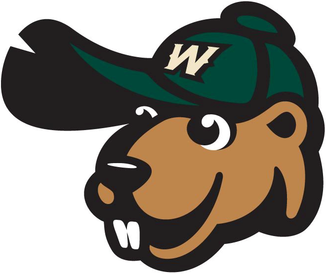 Wisconsin Woodchucks 2010-Pres Alternate Logo v3 iron on transfers for clothing